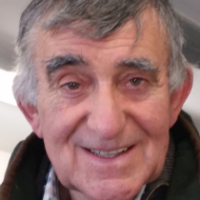 An elderly man with grey hair smiles whilst looking at the camera indoors.