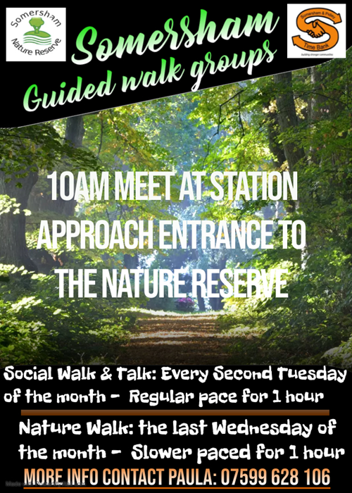 Poster for Somersham guided walking groups with meeting times, locations, and contact information for nature walks.